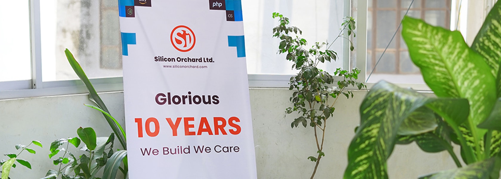 Celebrating 10 years of success