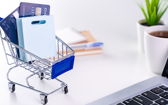 Custom eCommerce Software Development